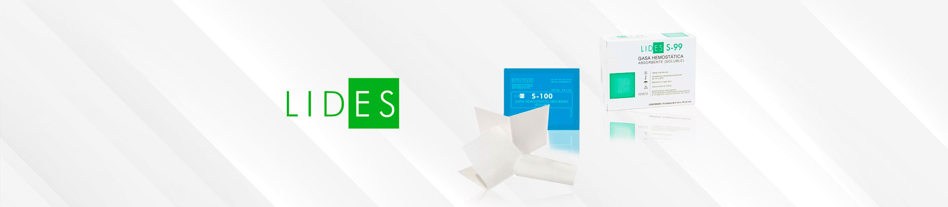 Banner-Lides2